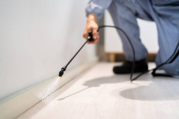 Rodent Entry Point Assessment in Imlay City