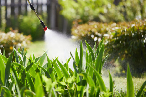 Tamper-Resistant Bait Stations for Rodents in Imlay City