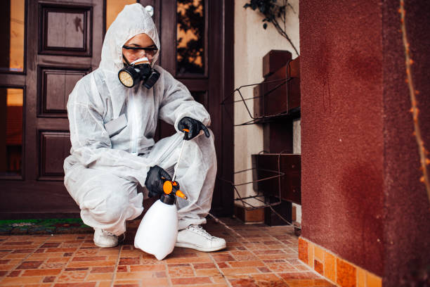 Attic and Crawl Space Rodent Treatment in Imlay City